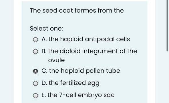 The seed coat formes from the
Select one:
O A. the haploid antipodal cells
O B. the diploid integument of the
ovule
C. the haploid pollen tube
O D. the fertilized egg
O E. the 7-cell embryo soac
