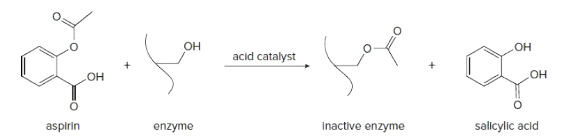Он
но
acid catalyst
Он
но
aspirin
inactive enzyme
salicylic acid
enzyme
