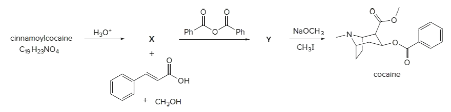 Нао*
Ph
NaOCH3
Ph
-N-
cinnamoylcocaine
C19 H23NO4
х
CH3I
cocaine
Он
+ CH;OH
CH-он
