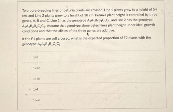 Two pure-breeding lines of petunia plants are crossed. Line 1 plants grow to a height of 54
cm, and Line 2 plants grow to a height of 18 cm. Petunia plant height is controlled by three
genes, A, B and C. Line 1 has the genotype A₁A₁B₁B₁C₁C₁, and line 2 has the genotype
A2A2B₂B₂C₂C₂. Assume that genotype alone determines plant height under ideal growth
conditions and that the alleles of the three genes are additive.
If the F1 plants are self crossed, what is the expected proportion of F2 plants with the
genotype A₁A₁B₁B₁C₁C₁
1/8
1/32
1/16
1/4
1/64
