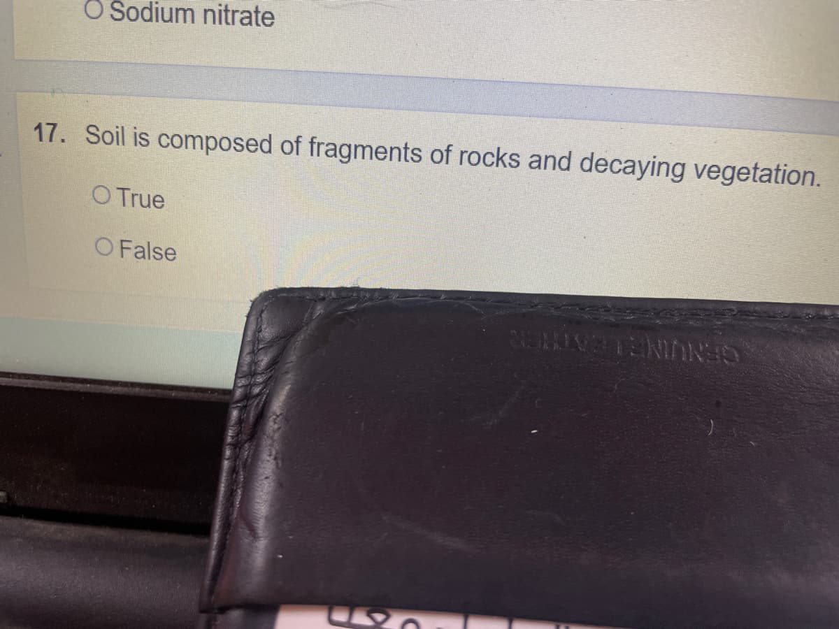 O Sodium nitrate
17. Soil is composed of fragments of rocks and decaying vegetation.
O True
O False
