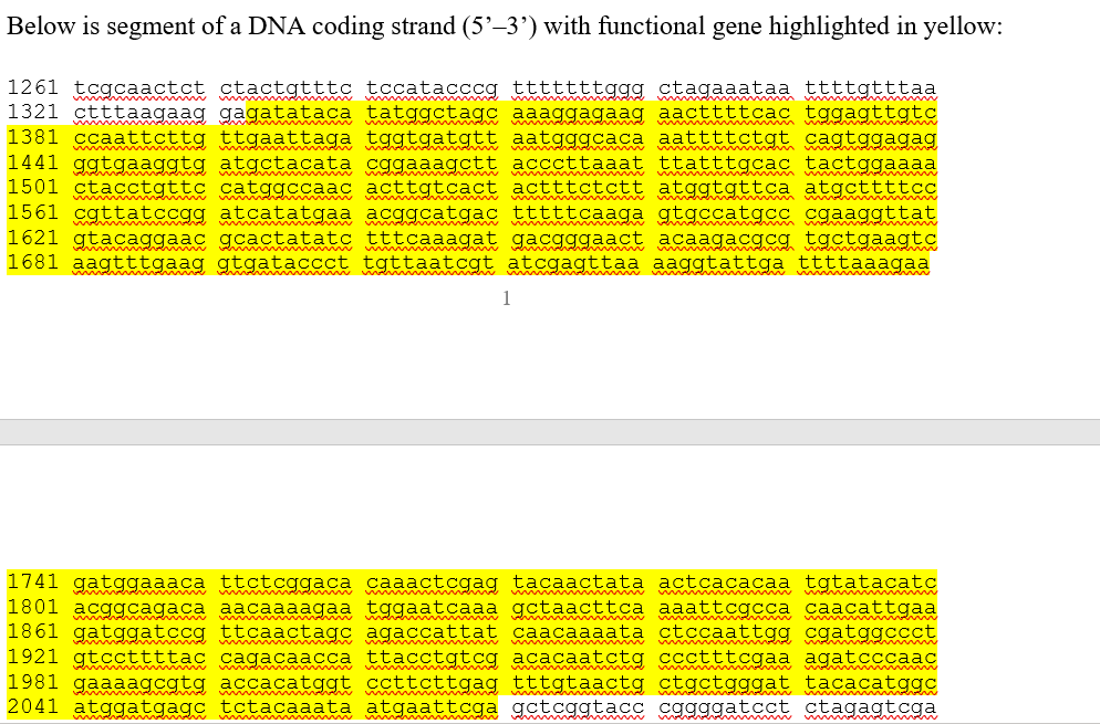 Below is segment of a DNA coding strand (5'-3') with functional gene highlighted in yellow:
mmmmmmmmmm
men inondon
1261 tcgcaactct ctactgtttc tccatacccg tttttttggg ctagaaataa ttttgtttaa
1321 ctttaagaag gagatataca tatggctago aaaggagaag aacttttcac tggagttgtc
1381 ccaattcttg ttgaattaga tggtgatgtt aatgggcaca aattttctgt cagtggagag
1441 ggtgaaggtg atgctacata cggaaagctt acccttaaat ttatttgcac tactggaaaa
1501 ctacctgttc catggccaac acttgtcact actttctctt atggtgttca atgcttttcc
1561 cgttatccgg atcatatgaa acggcatgac tttttcaaga gtgccatgcc cgaaggttat
1621 gtacaggaac gcactatatc tttcaaagat gacgggaact acaagacgcg tgctgaagtc
1681 aagtttgaag gtqataccct tqttaatcgt atcqagttaa aaggtattga ttttaaagaa
Ruuwwwwwww
immen
wwwwwwwmmmmmm
vard
wever
1
1741 gatggaaaca ttctcggaca caaactcgag tacaactata actcacacaa tgtatacatc
1801 acggcagaca aacaaaagaa tggaatcaaa gctaacttca aaattcgcca caacattgaa
1861 gatggatccg ttcaactago agaccattat caacaaaata ctccaattgg cgatggccct
1921 gtccttttac cagacaacca ttacctgtcg acacaatctg ccctttcgaa agatcccaac
1981 gaaaagcgtg accacatggt ccttcttgag tttgtaactg ctgctgggat tacacatggc
2041 atggatgagc tctacaaata atgaattega gctcggtacc cggggatcct ctagagtcga