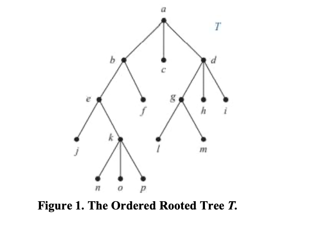 T
b
hi
n o P
Figure 1. The Ordered Rooted Tree T.
be
