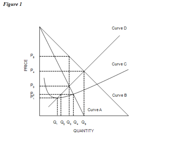 Figure 1
PRICE
"
P₂
aaa
Curve D
Curve C
Q, Q Q, Q. Q₂
Curve A
QUANTITY
Curve B