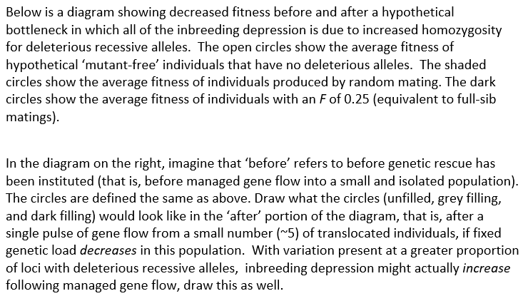 Below is a diagram showing decreased fitness before and after a hypothetical
bottleneck in which all of the inbreeding depression is due to increased homozygosity
for deleterious recessive alleles. The open circles show the average fitness of
hypothetical 'mutant-free' individuals that have no deleterious alleles. The shaded
circles show the average fitness of individuals produced by random mating. The dark
circles show the average fitness of individuals with an Fof 0.25 (equivalent to full-sib
matings).
In the diagram on the right, imagine that 'before' refers to before genetic rescue has
been instituted (that is, before managed gene flow into a small and isolated population).
The circles are defined the same as above. Draw what the circles (unfilled, grey filling,
and dark filling) would look like in the 'after' portion of the diagram, that is, after a
single pulse of gene flow from a small number (~5) of translocated individuals, if fixed
genetic load decreases in this population. With variation present at a greater proportion
of loci with deleterious recessive alleles, inbreeding depression might actually increase
following managed gene flow, draw this as well.
