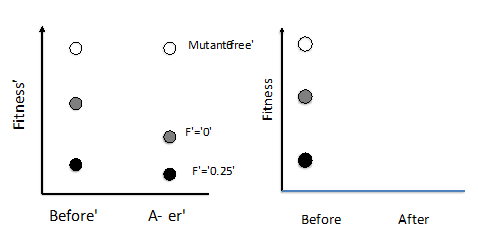 Mutantfree'
F'='0'
A F'='0.25'
Before'
A- er'
Before
After
Fitness'
Fitness
