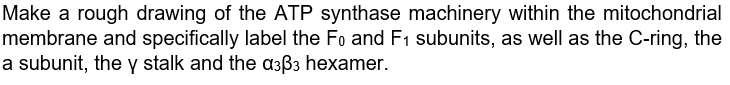 Make a rough drawing of the ATP synthase machinery within the mitochondrial
membrane and specifically label the Fo and F1 subunits, as well as the C-ring, the
a subunit, the y stalk and the a3ß3 hexamer.
