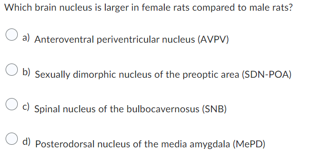 Which brain nucleus is larger in female rats compared to male rats?
a) Anteroventral periventricular nucleus (AVPV)
b) Sexually dimorphic nucleus of the preoptic area (SDN-POA)
c) Spinal nucleus of the bulbocavernosus (SNB)
d) Posterodorsal nucleus of the media amygdala (MePD)