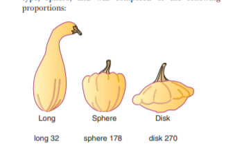 proportions:
Long
Sphere
Disk
long 32
sphere 178
disk 270
