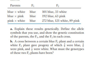Parents
F1
F2
blue x white blue
101 blue, 33 white
192 blue, 63 pink
272 blue, 121 white, 89 pink
blue x pink
blue
pink x white blue
a. Explain these results genetically. Define the allele
symbols that you use, and show the genetic constitution
of the parents, the F, and the F2 in each cross.
b. A cross between a certain blue F2 plant and a certain
white F2 plant gave progeny of which were blue,
were pink, and were white. What must the genotypes
of these two F2 plants have been?
