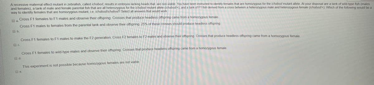 A recessive maternal effect mutant in zebrafish, called ichabod, results in embryos lacking heads that are non-viable. You have been instructed to identify females that are homozygous for the ichabod mutant allele. At your disposal are a tank of wild-type fish (males
and females), a tank of male and female parental fish that are all heterozygous for the ichabod mutant allele (ichabodl+), and a tank of F1 fish derived from a cross between a heterozygous male and heterozygous female (ichabodl+). Which of the following would be a
way to identify females that are homozygous mutant, i.e. ichabodlichabod? Select all answers that would work.
Cross F1 females to F1 males and observe their offspring. Crosses that produce headless offspring came from a homozygous female.
a.
Cross F1 males to females from the parental tank and observe their offspring. 25% of these crosses should produce headless offspring.
b.
Cross F1 females to F1 males to make the F2 generation. Cross F2 females to F2 males and observe their offspring. Crosses that produce headless offspring came from a homozvgous female
C.
Cross F1 females to wild-type males and observe their offspring. Crosses that produce headless offspring came from a homozygous female.
d.
This experiment is not possible because homozygous females are not viable.
e.
