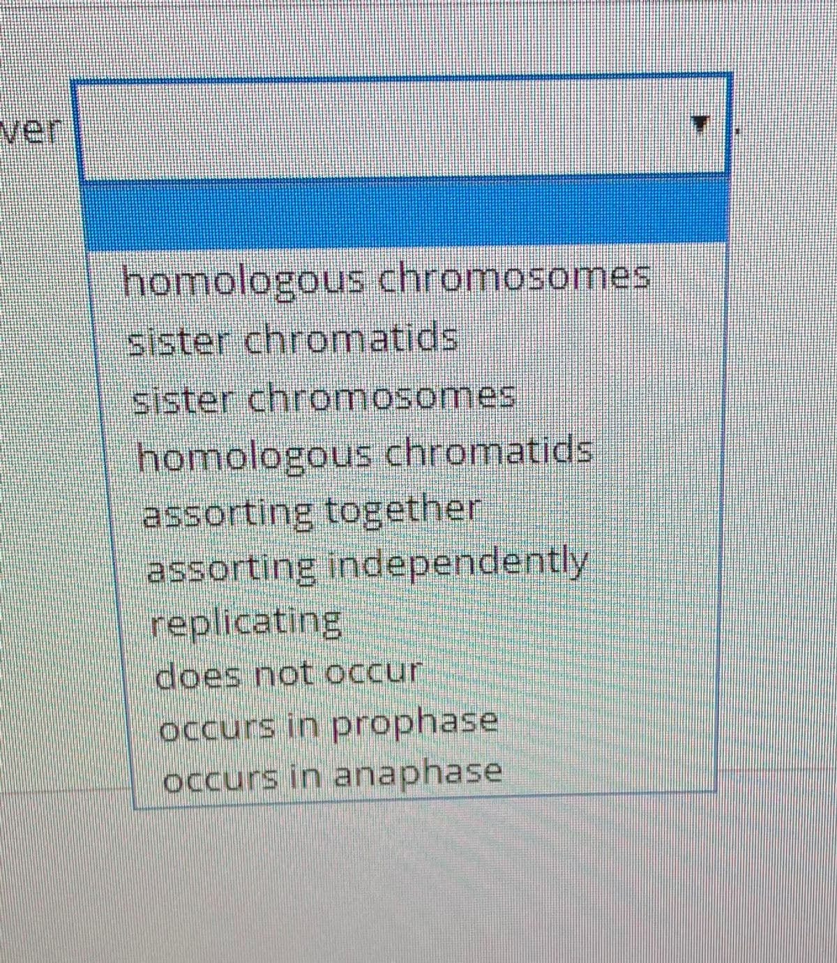 ver
homologous chromosomes
sister chromatids
sister chromosomes
homologous chromatids
assorting together
assorting independently
replicating
does not occur
occurs in prophase
occurs in anaphase
