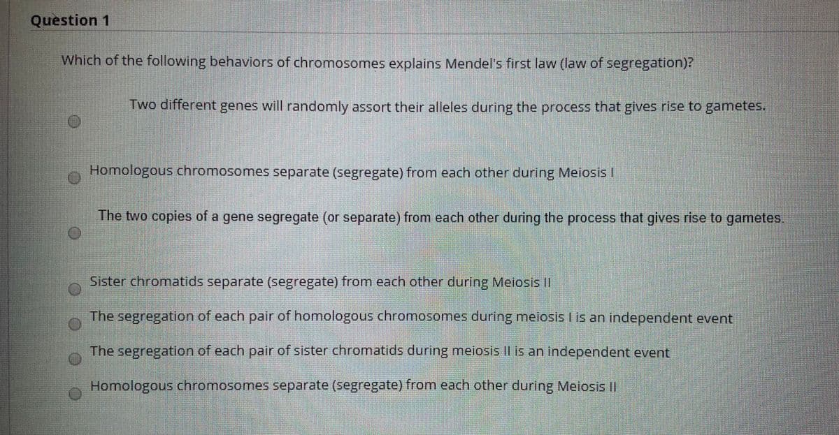 Question 1
Which of the following behaviors of chromosomes explains Mendel's first law (law of segregation)?
Two different genes will randomly assort their alleles during the process that gives rise to gametes.
Homologous chromosomes separate (segregate) from each other during Meiosis I
The two copies of a gene segregate (or separate) from each other during the process that gives rise to gametes.
Sister chromatids separate (segregate) from each other during Meiosis I
The segregation of each pair of homologous chromosomes during meiosis I is an independent event
The segregation of each pair of sister chromatids during meiosis Il is an independent event
Homologous chromosomes separate (segregate) from each other during Meiosis II
