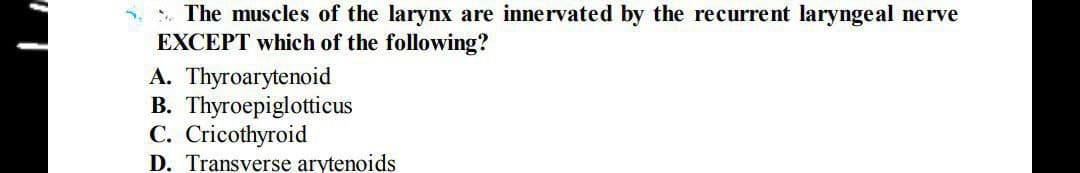 . The muscles of the larynx are innervated by the recurrent laryngeal nerve
EXCEPT which of the following?
A. Thyroarytenoid
B. Thyroepiglotticus
C. Cricothyroid
D. Transverse arytenoids
