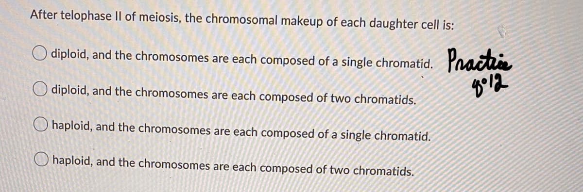After telophase Il of meiosis, the chromosomal makeup of each daughter cell is:
Practia
diploid, and the chromosomes are each composed of a single chromatid.
O diploid, and the chromosomes are each composed of two chromatids.
O haploid, and the chromosomes are each composed of a single chromatid.
O haploid, and the chromosomes are each composed of two chromatids.
