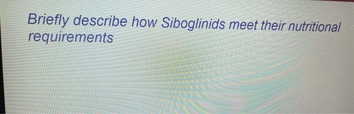 Briefly describe how Siboglinids meet their nutritional
requirements
