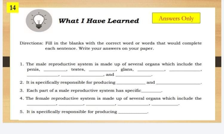 14
Answers Only
What I Have Learned
Directions: Fill in the blanks with the correct word or words that would complete
each sentence. Write your answers on your paper.
1. The male reproductive system is made up of several organs which include the
penis,
testes,
glans,
and
2. It is specifically responsible for producing
3. Each part of a male reproductive system has specific
and
4. The female reproductive system is made up of several organs which include the
5. It is specifically responsible for producing
