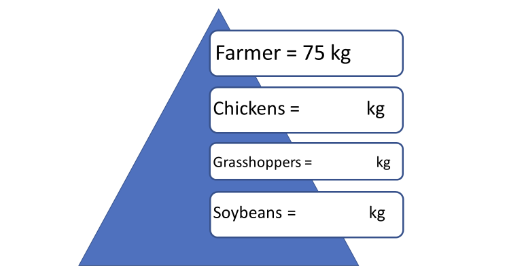 Farmer = 75 kg
Chickens
Grasshoppers =
Soybeans =
kg
kg
kg
