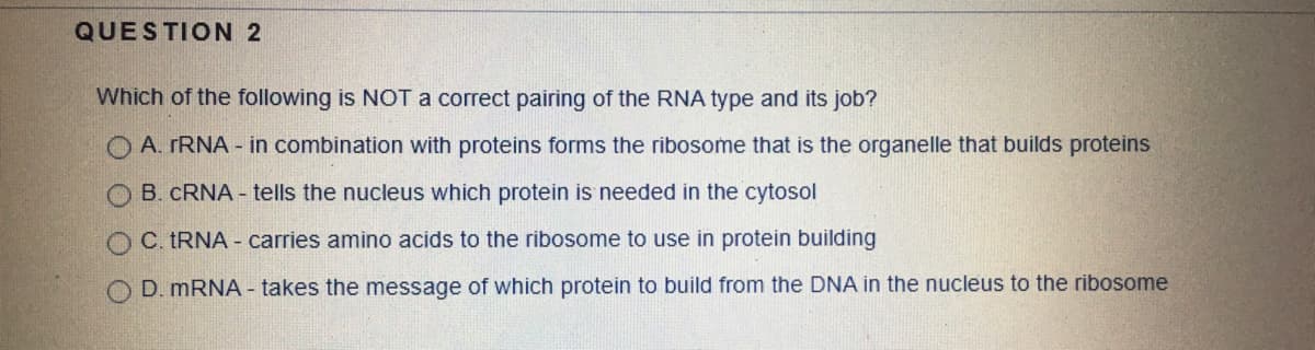 QUESTION 2
Which of the following is NOT a correct pairing of the RNA type and its job?
O A. rRNA - in combination with proteins forms the ribosome that is the organelle that builds proteins
O B. CRNA - tells the nucleus which protein is needed in the cytosol
OC. TRNA - carries amino acids to the ribosome to use in protein building
O D. MRNA - takes the message of which protein to build from the DNA in the nucleus to the ribosome
