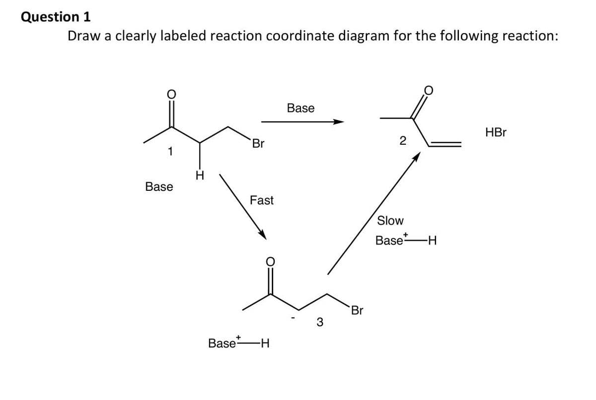 Question 1
Draw a clearly labeled reaction coordinate diagram for the following reaction:
'Br
Base
HBr
2
1
H
Base
Fast
Slow
Baset
-H
'Br
3
Base
-H