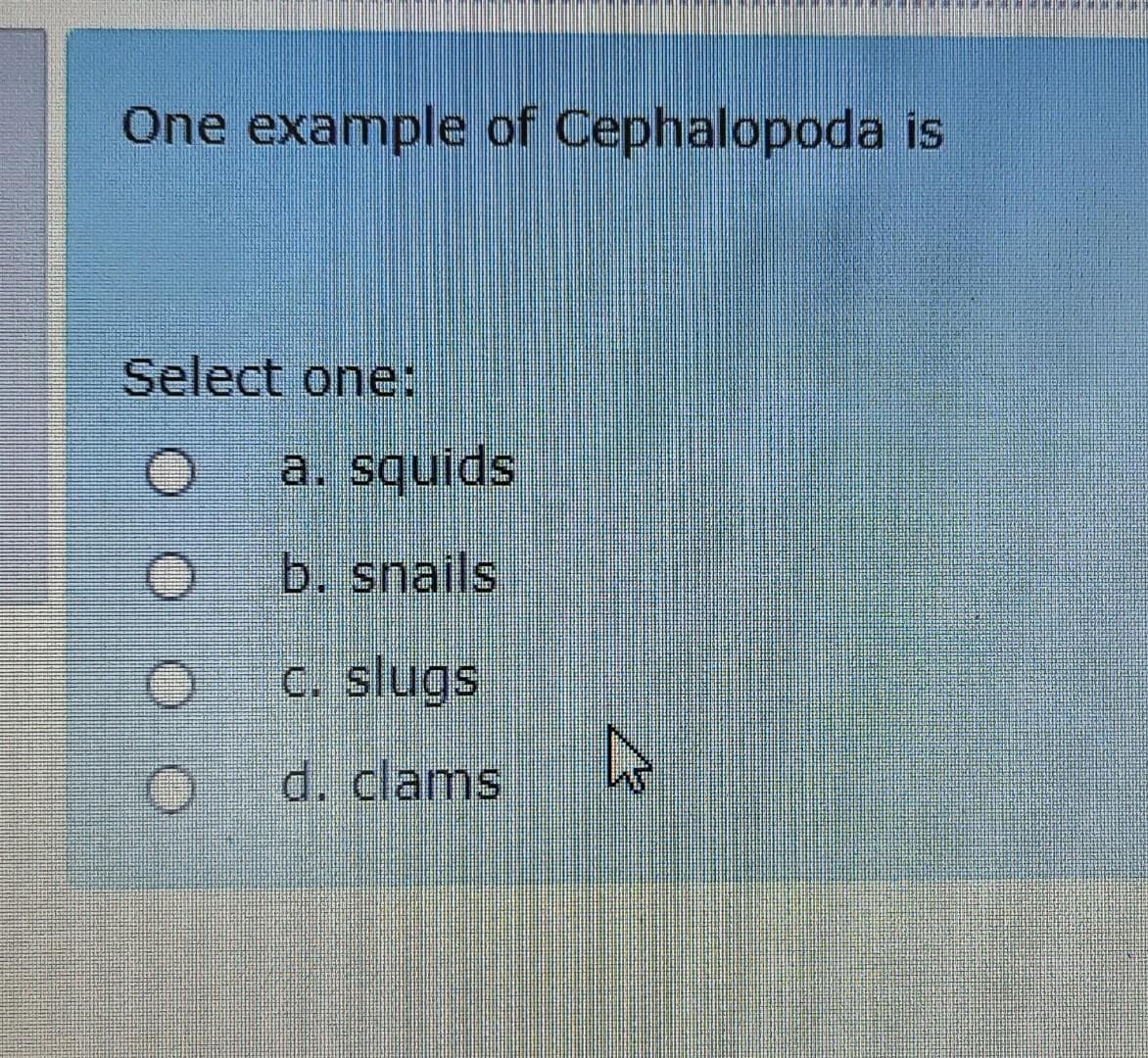 One example of Cephalopoda is
Select one:
a. squids
b. snails
C. slugs
d. clams
