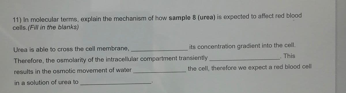 11) In molecular terms, explain the mechanism of how sample 8 (urea) is expected to affect red blood
cells.(Fill in the blanks)
Urea is able to cross the cell membrane,
its concentration gradient into the cell.
This
Therefore, the osmolarity of the intracellular compartment transiently
the cell, therefore we expect a red blood cell
results in the osmotic movement of water
in a solution of urea to
