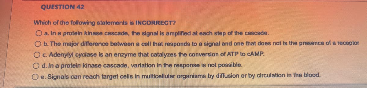 QUESTION 42
Which of the following statements is INCORRECT?
O a. In a protein kinase cascade, the signal is amplified at each step of the cascade.
O b. The major difference between a cell that responds to a signal and one that does not is the presence of a receptor
O c. Adenylyl cyclase is an enzyme that catalyzes the conversion of ATP to CAMP.
Od. In a protein kinase cascade, variation in the response is not possible.
O e. Signals can reach target cells in multicellular organisms by diffusion or by circulation in the blood.