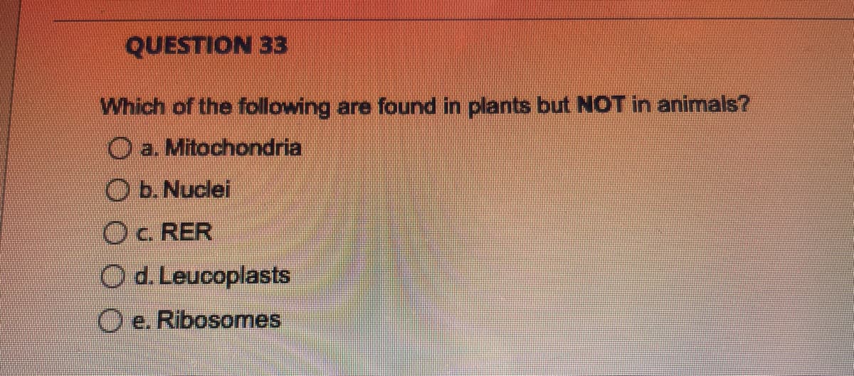 QUESTION 33
Which of the following are found in plants but NOT in animals?
a. Mitochondria
b. Nuclei
OC. RER
O d. Leucoplasts
Oe. Ribosomes