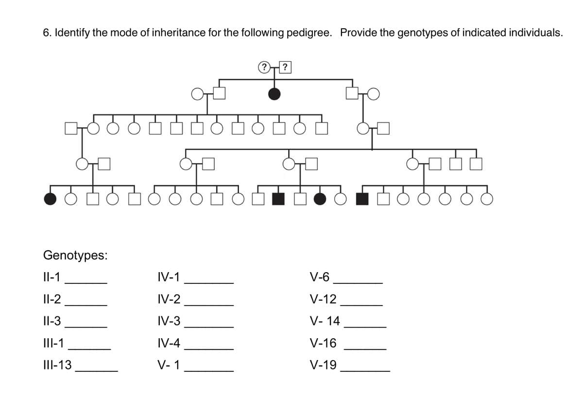 6. Identify the mode of inheritance for the following pedigree. Provide the genotypes of indicated individuals.
?
Genotypes:
Il-1
IV-1
V-6
Il-2
IV-2
V-12
Il-3
IV-3
V- 14
III-1
IV-4
V-16
III-13
V- 1
V-19
