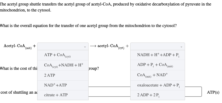 The acetyl group shuttle transfers the acetyl group of acetyl-CoA, produced by oxidative decarboxylation of pyruvate in the
mitochondrion, to the cytosol.
What is the overall equation for the transfer of one acetyl group from the mitochondrion to the cytosol?
Acetyl-CoA,
(mit)
+
What is the cost of thi
cost of shuttling an ad
ATP + CoA (cyt)
CoA (cyt) +NADH + H+
2 ATP
NAD+ +ATP
citrate + ATP
→
acetyl-CoA (cyt) +
roup?
NADH + H+ +ADP +P;
ADP + P + CoA (mit)
CoA (mit)
oxaloacetate + ADP + P₁
2 ADP + 2 P₁
+ NAD+
ATP(s)