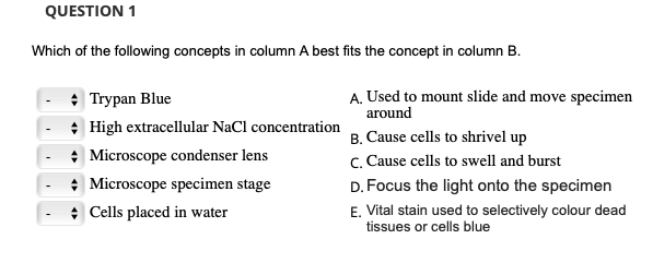 QUESTION 1
Which of the following concepts in column A best fits the concept in column B.
+ Trypan Blue
High extracellular NaCl concentration
Microscope condenser lens
+ Microscope specimen stage
+ Cells placed in water
A. Used to mount slide and move specimen
around
B. Cause cells to shrivel up
C. Cause cells to swell and burst
D. Focus the light onto the specimen
E. Vital stain used to selectively colour dead
tissues or cells blue