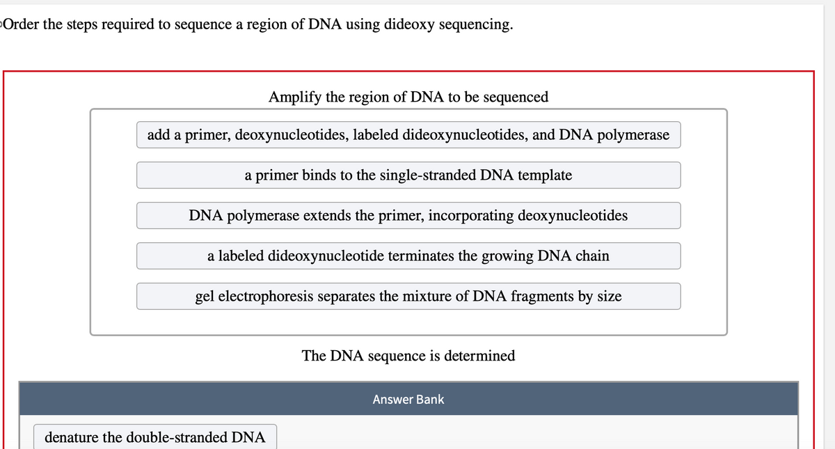 Order the steps required to sequence a region of DNA using dideoxy sequencing.
Amplify the region of DNA to be sequenced
add a primer, deoxynucleotides, labeled dideoxynucleotides, and DNA polymerase
a primer binds to the single-stranded DNA template
DNA polymerase extends the primer, incorporating deoxynucleotides
a labeled dideoxynucleotide terminates the growing DNA chain
gel electrophoresis separates the mixture of DNA fragments by size
The DNA sequence is determined
denature the double-stranded DNA
Answer Bank