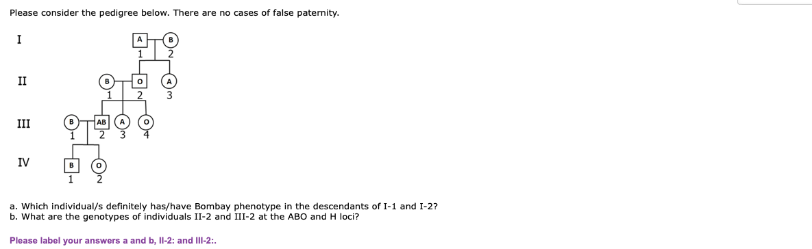 Please consider the pedigree below. There are no cases of false paternity.
I
II
III
IV
в
1
a. Which individual/s definitely has/have Bombay phenotype in the descendants of I-1 and I-2?
b. What are the genotypes of individuals II-2 and III-2 at the AB0 and H loci?
Please label your answers a and b, Il-2: and Ill-2:.
