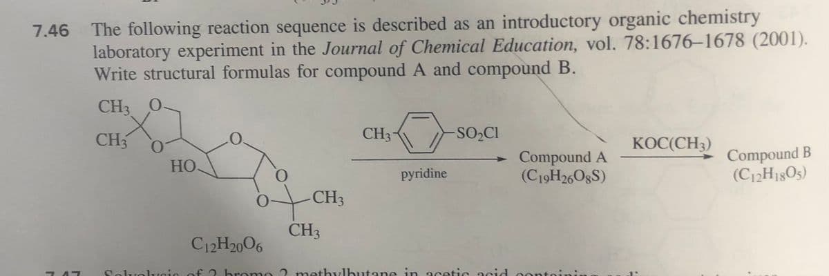 7.46
The following reaction sequence is described as an introductory organic chemistry
laboratory experiment in the Journal of Chemical Education, vol. 78:1676-1678 (2001).
Write structural formulas for compound A and compound B.
CH3 0
X
CH3
O
HO.
0
O
+
O
C12H2006
CH3
CH3
CH3
pyridine
SO₂C1
Soluolugin of ? bromo ? methylbutane in acetic acid
Compound A
(C19H26O8S)
ont
KOC(CH3)
Compound B
(C12H1805)
