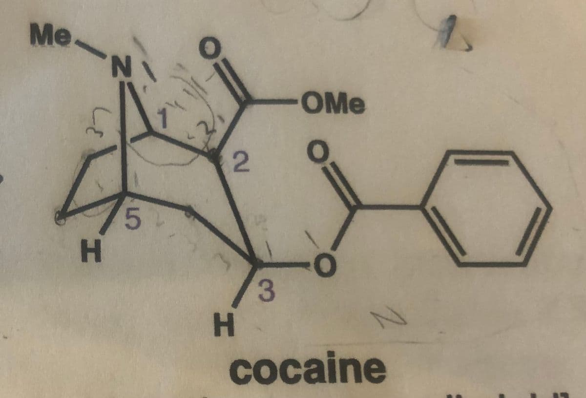 Me
H
N
5
2
H
3
OMe
O
N
cocaine
1
0