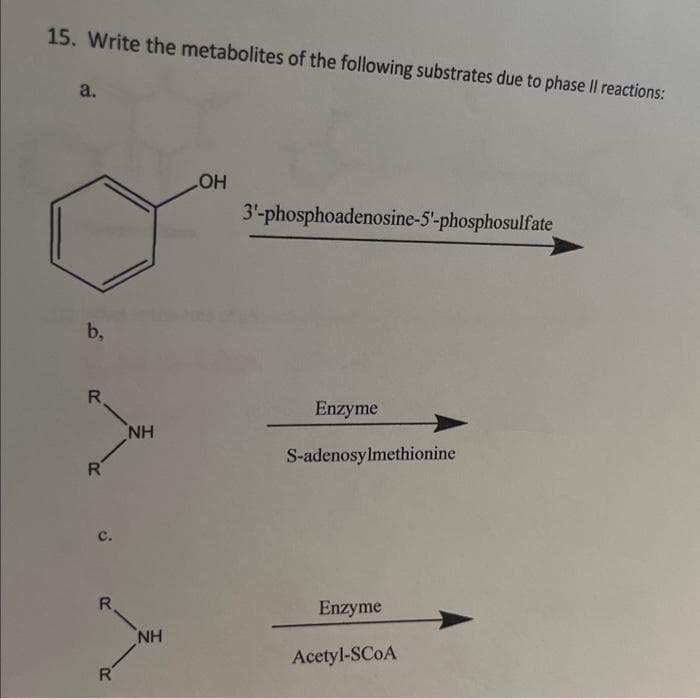 15. Write the metabolites of the following substrates due to phase Il reactions:
a.
b.
R
R
C.
R
R
NH
NH
LOH
3'-phosphoadenosine-5'-phosphosulfate
Enzyme
S-adenosylmethionine
Enzyme
Acetyl-SCOA