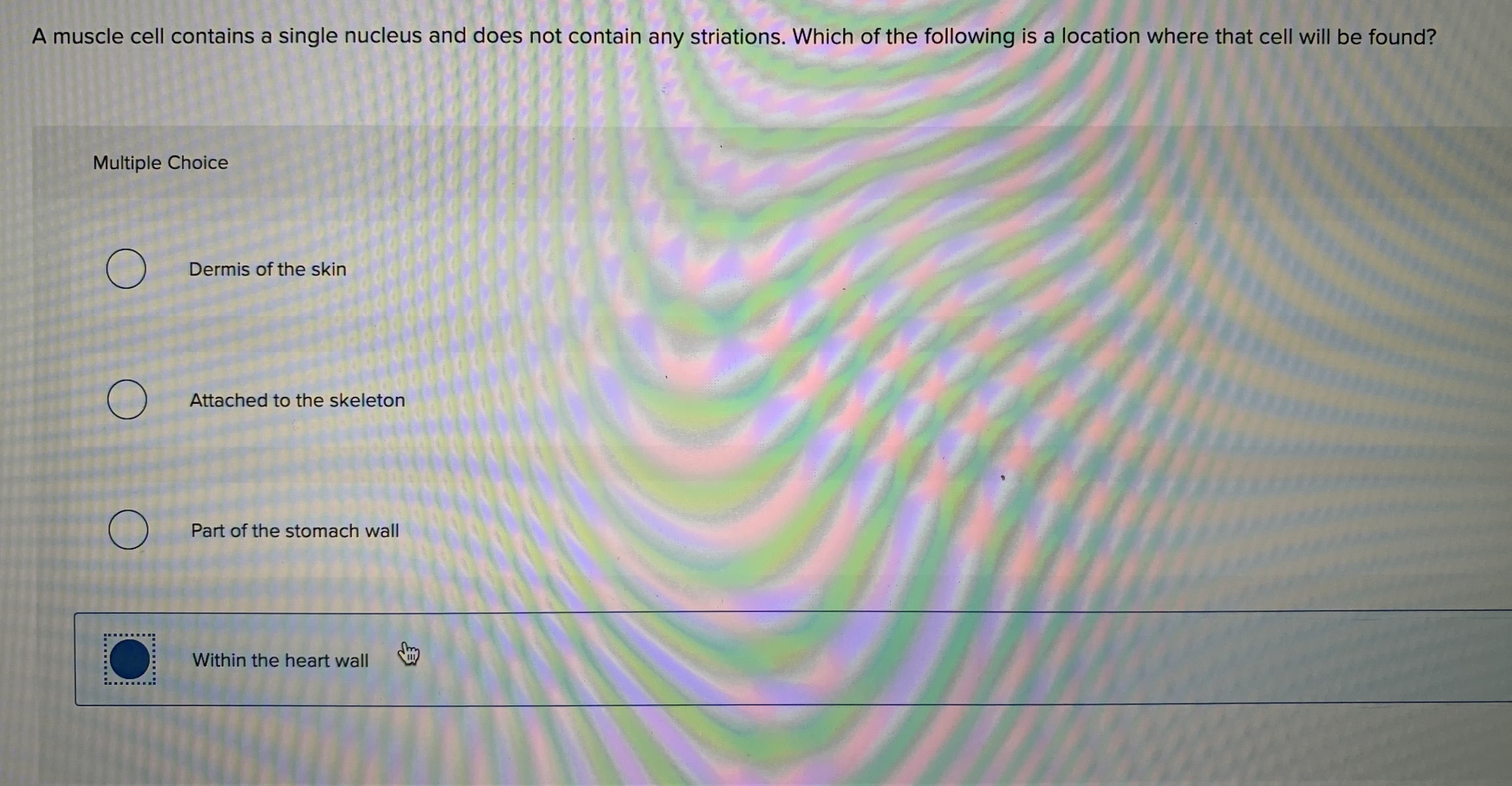 A muscle cell contains a single nucleus and does not contain any striations. Which of the following is a location where that cell will be found?
