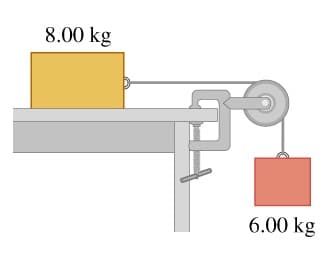 8.00 kg
6.00 kg