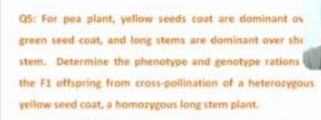 as: For pea plant, yellow seeds coat are dominant ov
green seed coat, and long stems are dominant over she
stem. Determine the phenotype and genotype rations
the F1 offspring from cross-pollination of a heterozygous
yellow seed coat, a homozygous long stem plant.
