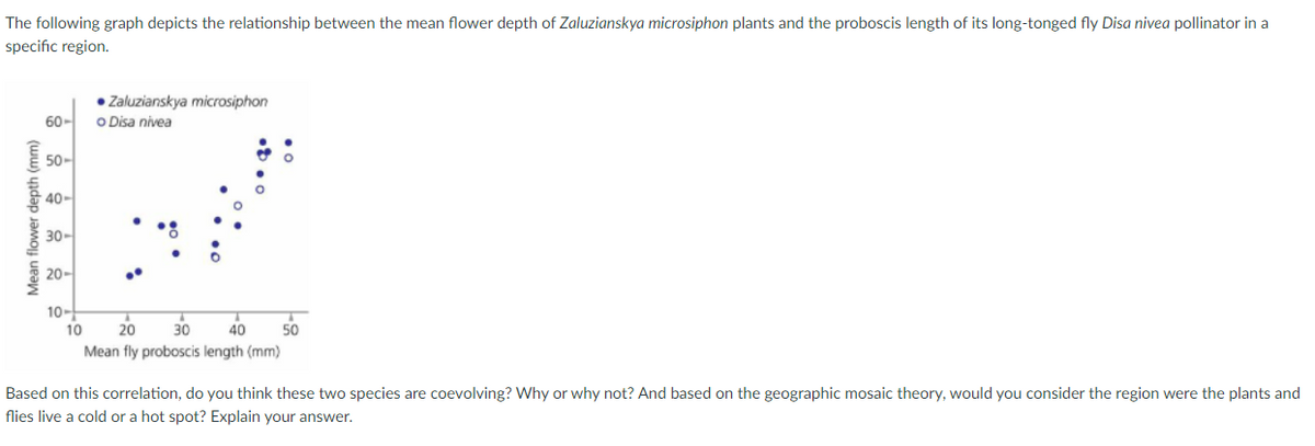 The following graph depicts the relationship between the mean flower depth of Zaluzianskya microsiphon plants and the proboscis length of its long-tonged fly Disa nivea pollinator in a
specific region.
• Zaluzianskya microsiphon
60-
O Disa nivea
E 50-
물 40-
30-
20-
10-
10
20
30
40
50
Mean fly proboscis length (mm)
Based on this correlation, do you think these two species are coevolving? Why or why not? And based on the geographic mosaic theory, would you consider the region were the plants and
flies live a cold or a hot spot? Explain your answer.
Mean flower depth (mm)
