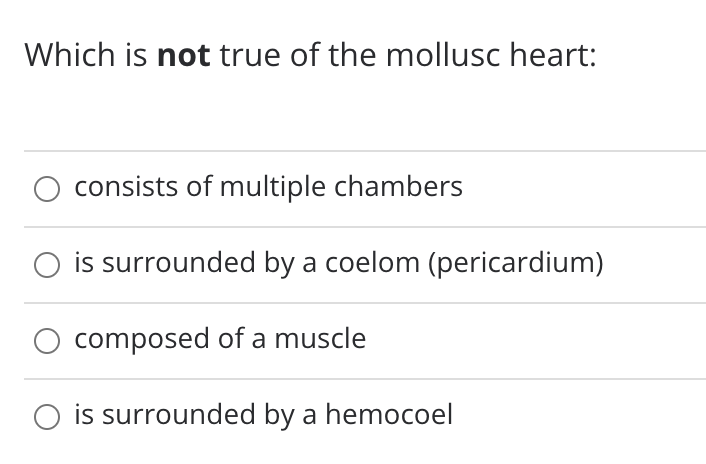 Which is not true of the mollusc heart:
consists of multiple chambers
is surrounded by a coelom (pericardium)
composed of a muscle
O is surrounded by a hemocoel
