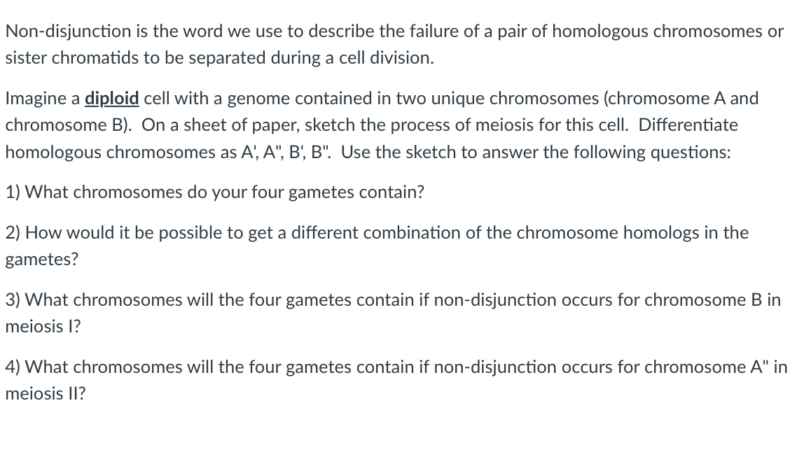Non-disjunction is the word we use to describe the failure of a pair of homologous chromosomes or
sister chromatids to be separated during a cell division.
Imagine a diploid cell with a genome contained in two unique chromosomes (chromosome A and
chromosome B). On a sheet of paper, sketch the process of meiosis for this cell. Differentiate
homologous chromosomes as A', A", B', B". Use the sketch to answer the following questions:
1) What chromosomes do your four gametes contain?
2) How would it be possible to get a different combination of the chromosome homologs in the
gametes?
3) What chromosomes will the four gametes contain if non-disjunction occurs for chromosome B in
meiosis I?
4) What chromosomes will the four gametes contain if non-disjunction occurs for chromosome A" in
meiosis II?
