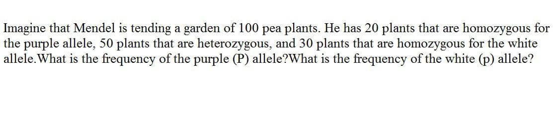 Imagine that Mendel is tending a garden of 100 pea plants. He has 20 plants that are homozygous for
the purple allele, 50 plants that are heterozygous, and 30 plants that are homozygous for the white
allele. What is the frequency of the purple (P) allele?What is the frequency of the white (p) allele?
