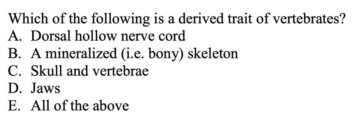 Which of the following is a derived trait of vertebrates?
A. Dorsal hollow nerve cord
B. A mineralized (i.e. bony) skeleton
C. Skull and vertebrae
D. Jaws
E. All of the above