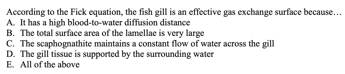 According to the Fick equation, the fish gill is an effective gas exchange surface because...
A. It has a high blood-to-water diffusion distance
B. The total surface area of the lamellae is very large
C. The scaphognathite maintains a constant flow of water across the gill
D. The gill tissue is supported by the surrounding water
E. All of the above