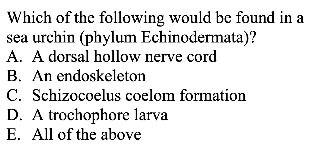 Which of the following would be found in a
sea urchin (phylum Echinodermata)?
A. A dorsal hollow nerve cord
B. An endoskeleton
C. Schizocoelus coelom formation
D. A trochophore larva
E. All of the above