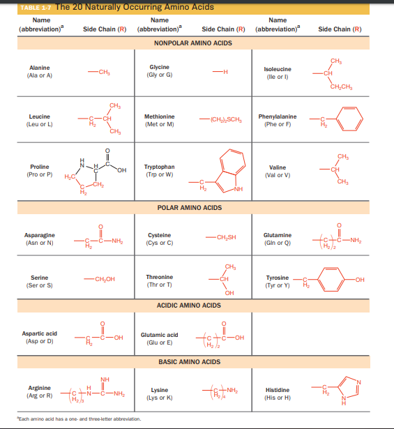 TABLE 1-7 The 20 Naturally Occurring Amino Acids
Name
Name
Name
(abbreviation)"
Side Chain (R)
(abbreviation)"
Side Chain (R)
(abbreviation)"
Side Chain (R)
NONPOLAR AMINO ACIDS
CH,
Glycine
(Gly or G)
Alanine
Isoleucine
-CH,
CH
(Ala or A)
(lle or l)
CH,CH,
CH,
Methionine
Phenylalanine
(Phe or F)
Leucine
CH
-(CH,SCH,
(Leu or L)
(Met or M)
CH,
CH,
Proline
(Pro or P)
Tryptophan
(Trp or W)
Valine
OH
CH
(Val or V)
CH,
CH,
NH
POLAR AMINO ACIDS
Asparagine
(Asn or N)
C-NH,
Cysteine
-CH,SH
Glutamine
C-NH,
(Cys or C)
(Gin or Q)
CH
Serine
Threonine
CH
-CH,OH
Тугosine
(Туг or Y)
(Ser or S)
(Thr or T)
OH
ACIDIC AMINO ACIDS
Aspartic acid
(Asp or D)
Glutamic acid
-HO-
-OH
(Glu or E)
BASIC AMINO ACIDS
NH
Arginine
(Arg or R)
Lysine
(Lys or K)
Histidine
-NH
(His or H)
"Each amino acid has a one- and three-letter abbreviation.
