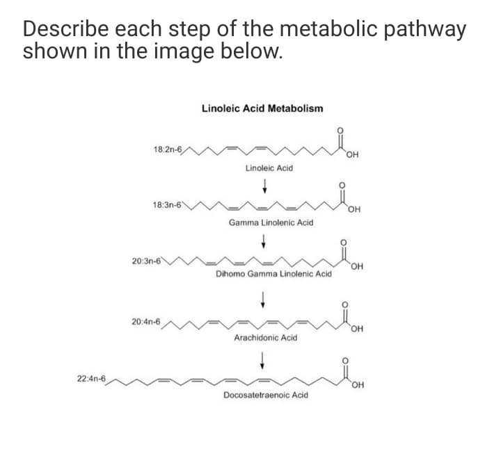 Describe each step of the metabolic pathway
shown in the image below.
Linoleic Acid Metabolism
18:2n-6,
HO.
Linoleic Acid
18:3n-6
он
Gamma Linolenic Acid
20:3n-6
он
Dihomo Gamma Linolenic Acid
20:4n-6
HO,
Arachidonic Acid
22:4n-6
но,
Docosatetraenoic Acid
