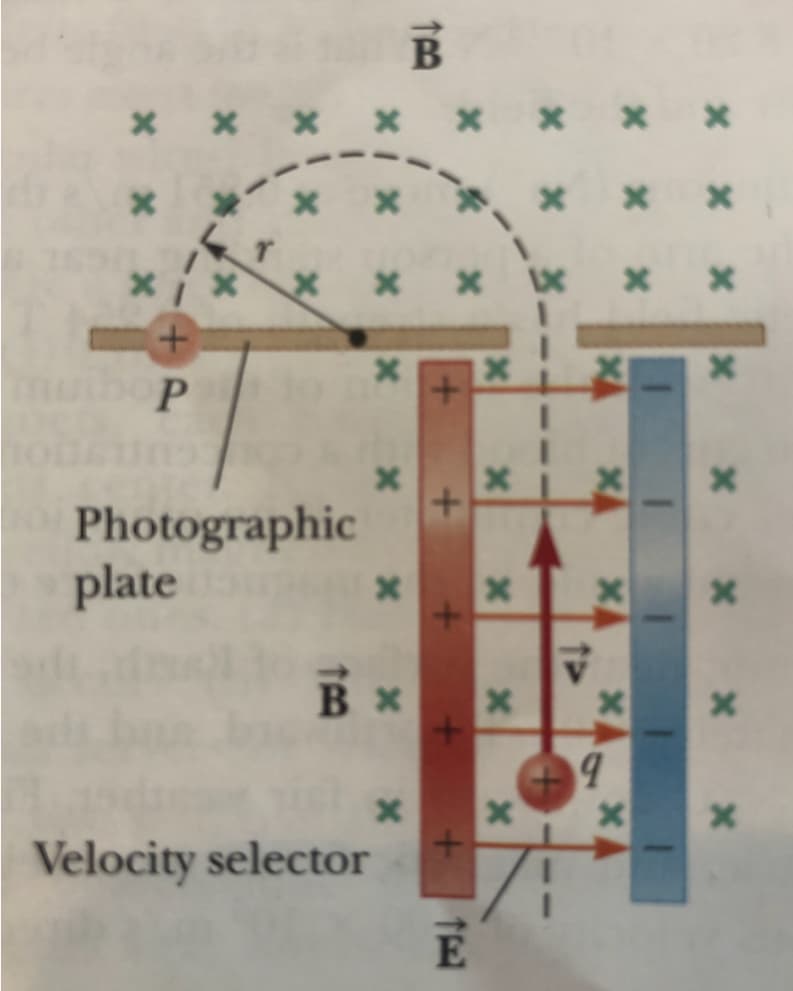 B
+.
Photographic
plate
Velocity selector
E
XI X
