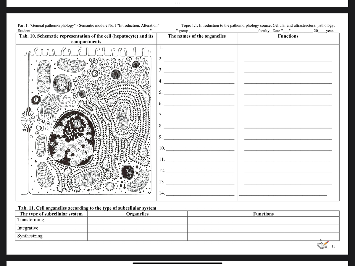 Part 1. "General pathomorphology" - Semantic module No.1 "Introduction. Alteration"
Student
"1
Tab. 10. Schematic representation of the cell (hepatocyte) and its
compartments
14
marido
13
GRAA
3
Integrative
Synthesizing
2
CAS
A
595
Tab. 11. Cell organelles according to the type of subcellular system
The type of subcellular system
Organelles
Transforming
1.
2.
3.
4.
5.
6.
7.
8.
9.
10.
11.
12.
13.
14.
Topic 1.1. Introduction to the pathomorphology course. Cellular and ultrastructural pathology.
group
20 year.
faculty Date
The names of the organelles
Functions
"1
Functions
15